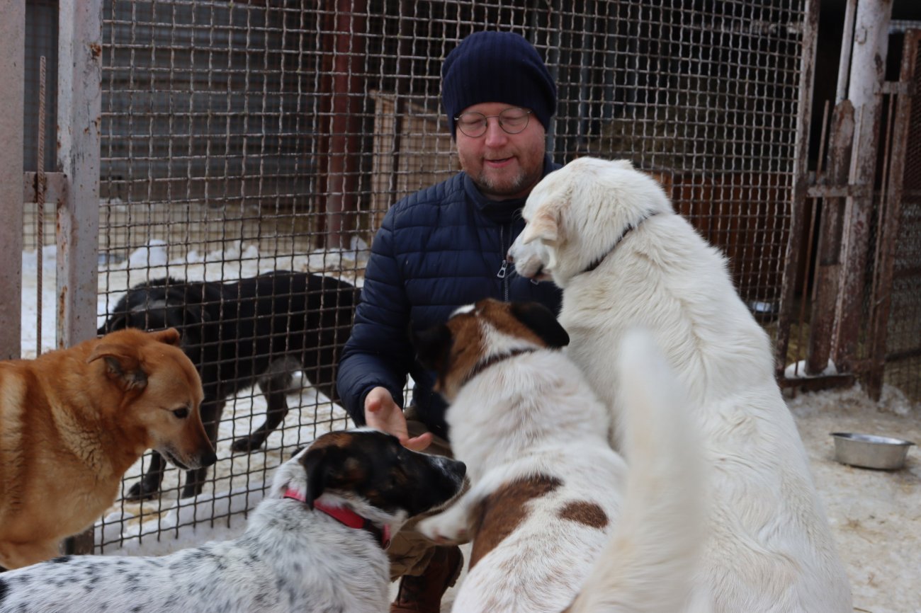 Николай Рыбаков в приюте для безнадзорных животных «Спасибо за жизнь» в Рязани