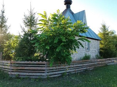 часовня, построенная Алексеем Яблоковым