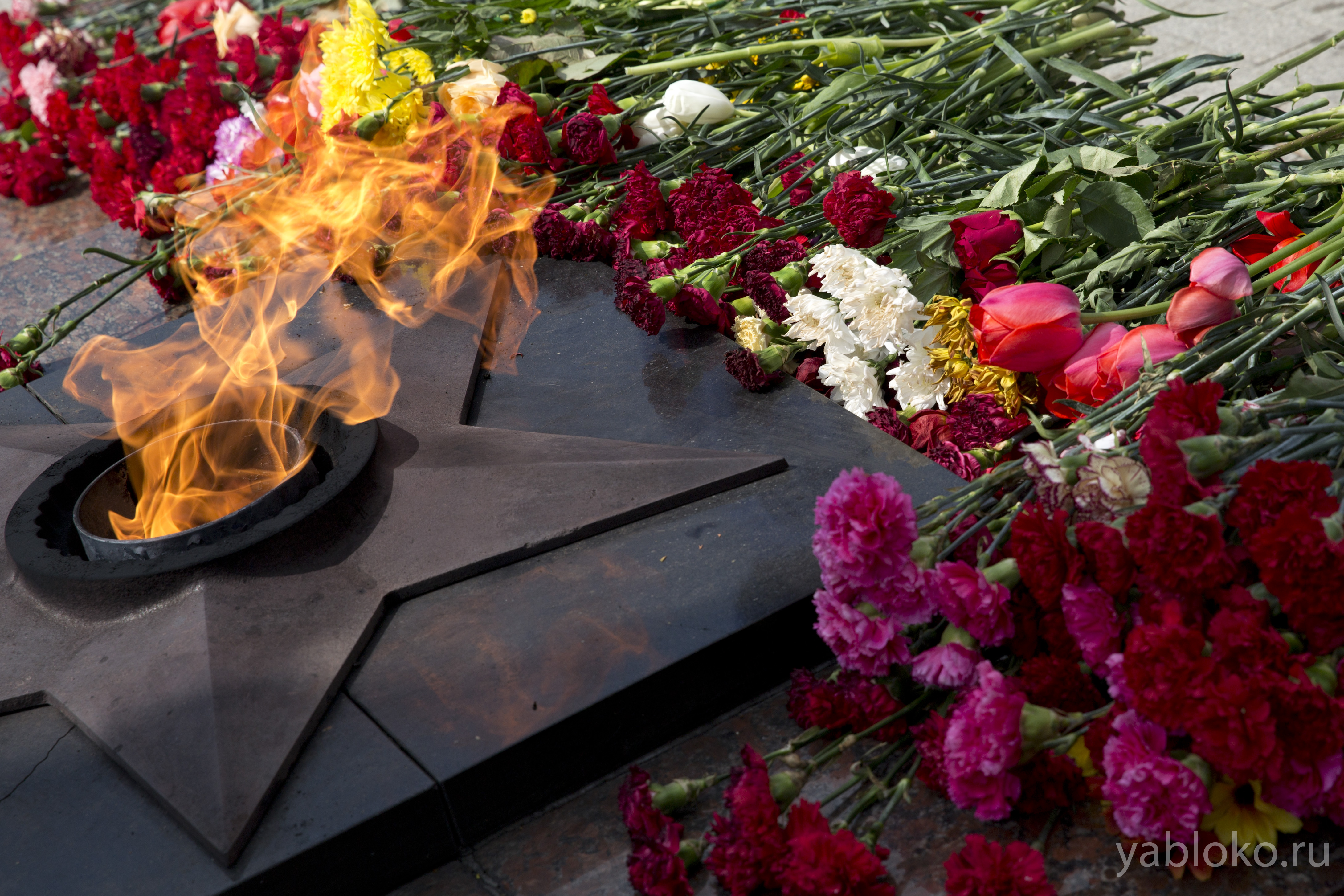 Цветы в честь памяти. Вечный огонь Сергиев Посад. Ветераны возлагают цветы к Вечному огню. Цветы у вечного огня.