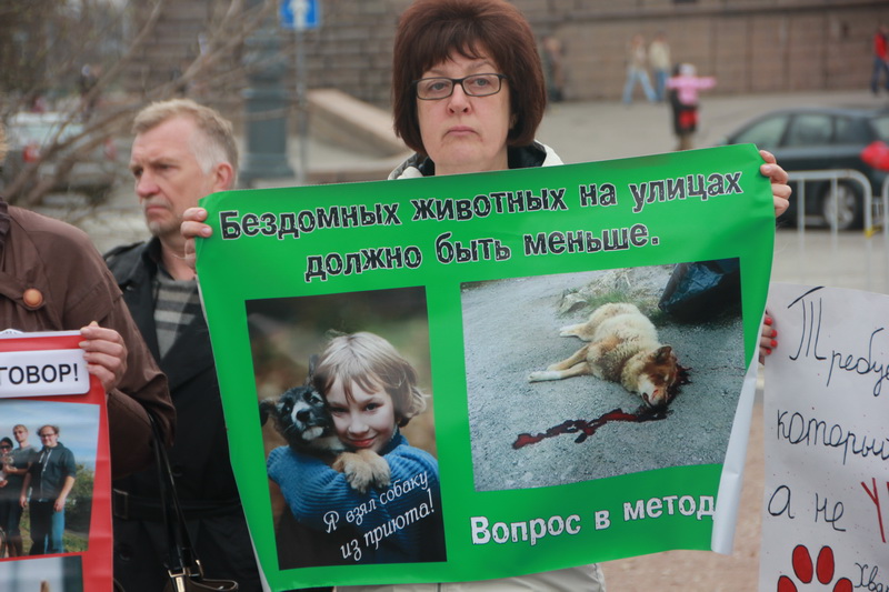 Хуже бомжа. Против живодерского закона о животных. Плакаты на митинг против бродячих собак. Живодёрский закон.